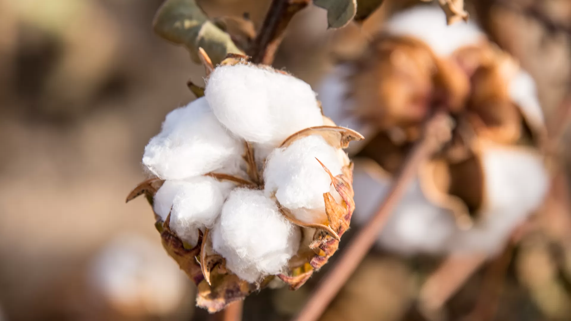 Onbaşıoğlu Tekstil San. ve Tic. A.Ş.